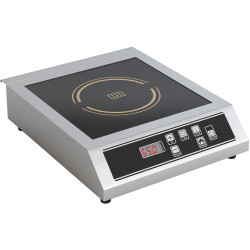 Induction Cookers