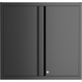 Professional Wall Cabinet 2 Doors 660x300x660mm - CESART206