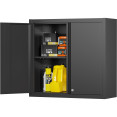 Professional Wall Cabinet 2 Doors 660x300x660mm - CESART206