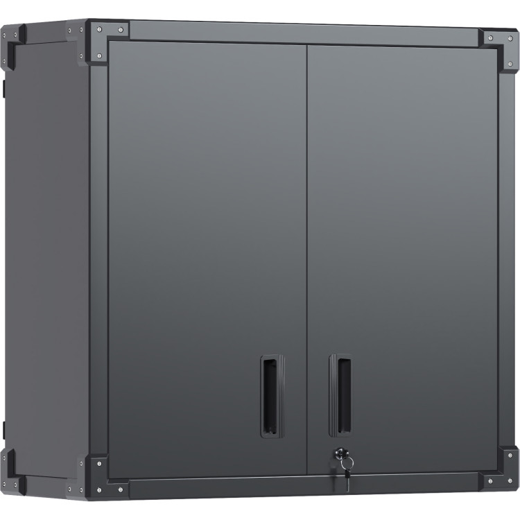 Professional Wall Cabinet 2 Doors 800x300x770mm - CESART228