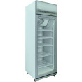 Commercial Display Freezer Upright 500 litres Hinged glass door LED canopy Grey - CESDM500