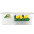Chilled Condiment Holder including 1xGN1/3+1xGN1/6-150mm containers with lid Plastic - CECHP06BD3