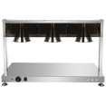 Commercial Buffet Food Warmer with Gantry 3x GN1/1 Heated Base & 3 Infrared Heat Lamps 1.5kW | CaterEq CEFYT513