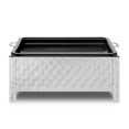 Commercial Gas BBQ Grill 3 burners Table top - CEGG1103A