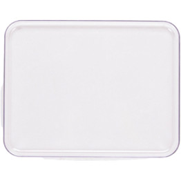 Display Tray Transparent Polycarbonate (PC) 300x240x22mm | CaterEq CEGZFH7144