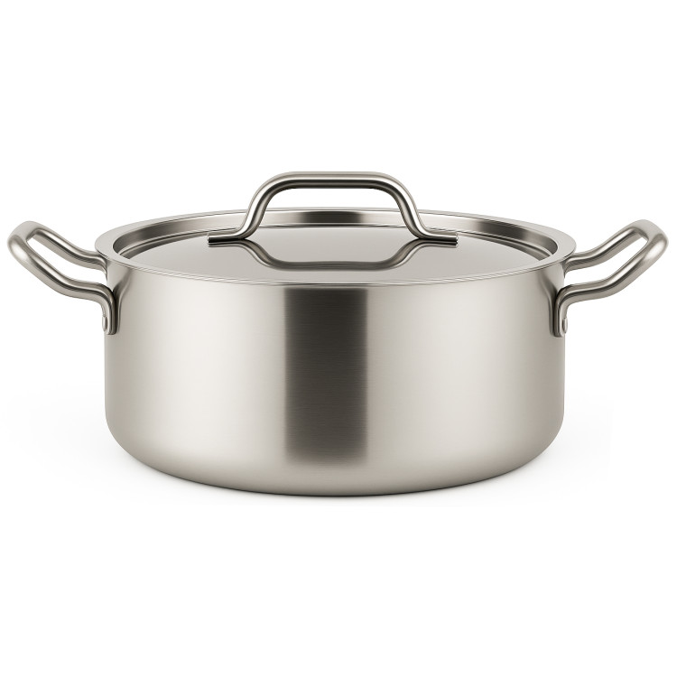 Professional Stainless 4.5L Steel Stew Pot 260mm| CaterEq CEJJD6216 Professional Stainless 4.5L Steel Stew Pot 260mm| CaterEq CEJJD6216