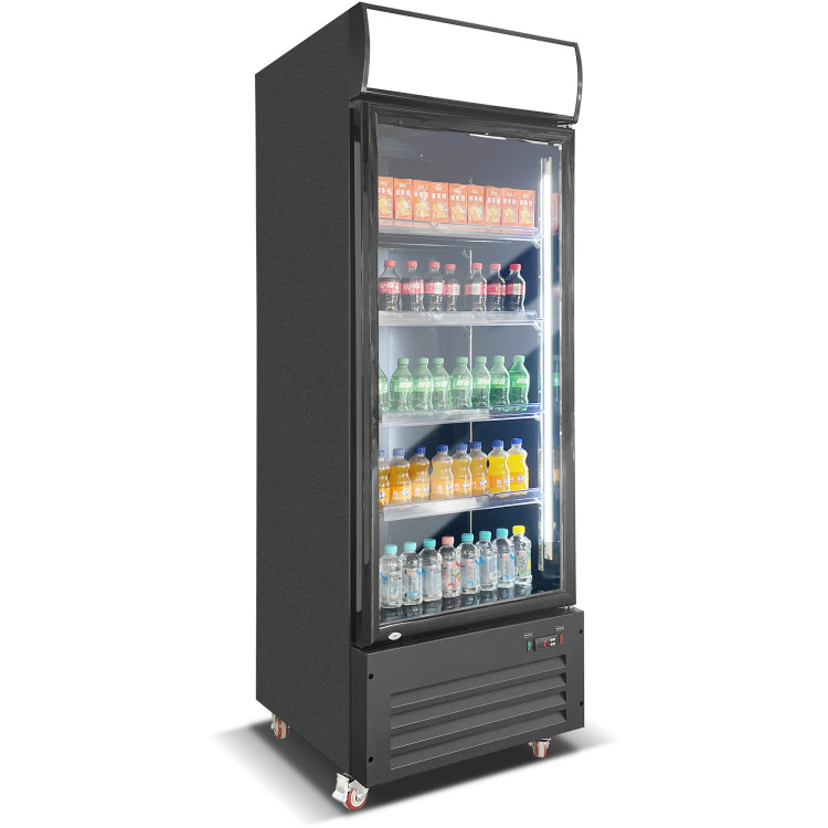 Commercial Bottle Cooler Upright 600 litres Single Glass Door with LED Canopy in Black - CEKXG600H