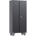 Commercial Mobile Black Steel Cabinet 2 Doors 800x410x1800mm - CESART204