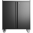 Professional Black Mobile Steel Cabinet 2 Doors 770x460x900mm - CESART208