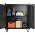 Professional Black Mobile Steel Cabinet 2 Doors 770x460x900mm - CESART208
