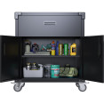 Professional Mobile Black 2 Door 1 Drawer Steel Tool Cabinet 800x420x900mm - CESART222
