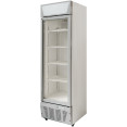 Commercial Display Refrigerator Upright 320 litres Hinged glass door LED canopy Grey - CESCC327