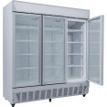 Commercial Display Freezer Upright 1500 litres Triple Hinged glass door LED canopy Grey - CESDC1500 Commercial Display Freezer Upright 1500 litres Triple Hinged glass door LED canopy Grey - CESDC1500