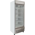 Commercial Display Freezer Upright 500 litres Hinged glass door LED canopy Grey - CESDC500