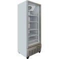 Commercial Freezer Upright 490 litres Hinged glass door Grey - CESDF500