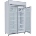 Commercial Display Freezer Upright 1000 litres Double Hinged glass door LED canopy Grey - CESDM1000 Commercial Display Freezer Upright 1000 litres Double Hinged glass door LED canopy Grey - CESDM1000