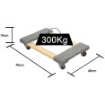 Heavy Duty Platform Trolley Dolly 300kg Capacity 760x460x140mm | CaterEq CETC0500
