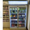 Commercial Display cooler 1195 litres Double hinged doors Top mount - CETR101